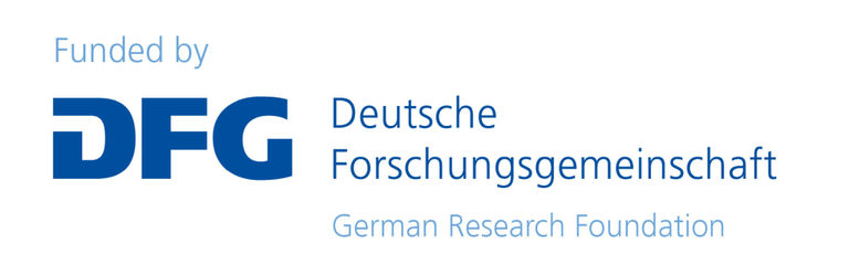 dfg_logo_schriftzug_blau_foerderung_en.png